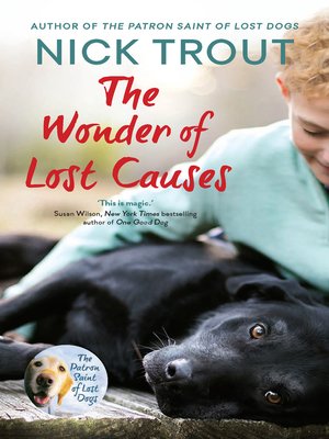 cover image of The Wonder of Lost Causes